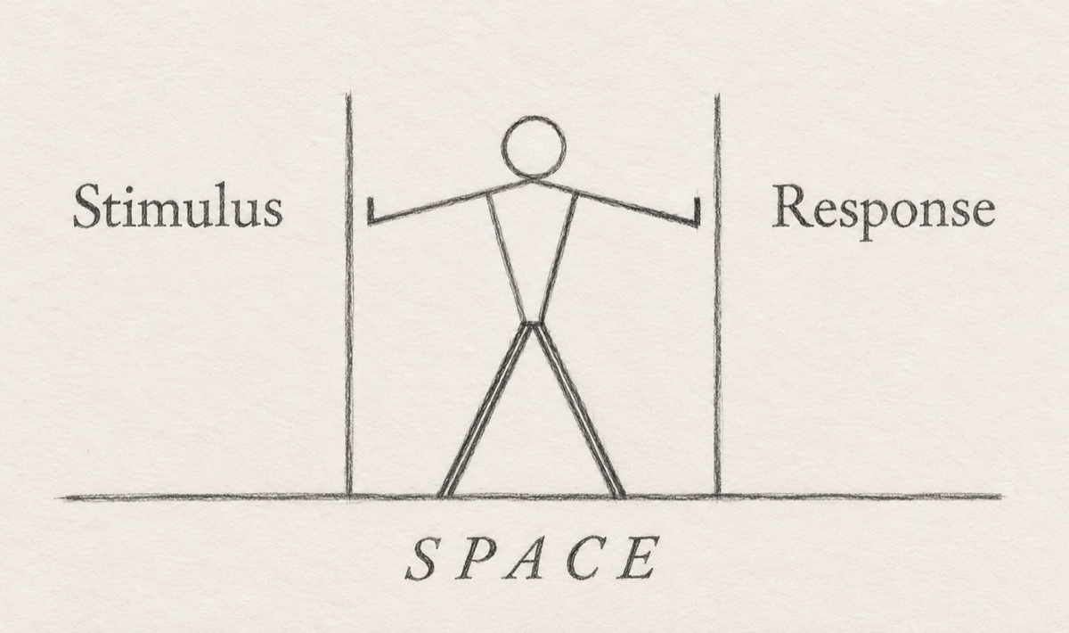 Zeichnung: Stimulus, Space, Response
